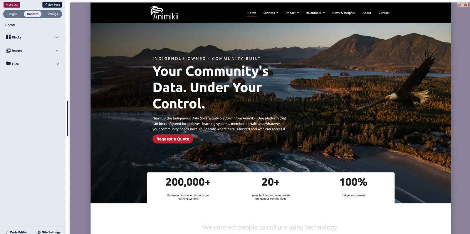 The CMS after the redesign